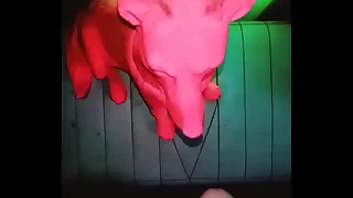 moiprat my brave b be accepted